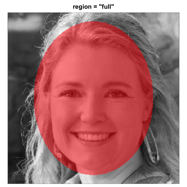 The eight built-in face-region masks rendered over the same artificial-person base face (256 x 256). Each translucent red overlay marks the pixels that pass through the mask; pixels outside are excluded from the analysis. All eight region geometries are this package's heuristics for a centred-portrait base. The three rectangle eye regions are independent of the full-oval geometry and tunable via `region_bounds`.