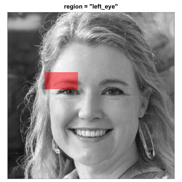 The eight built-in face-region masks rendered over the same artificial-person base face (256 x 256). Each translucent red overlay marks the pixels that pass through the mask; pixels outside are excluded from the analysis. All eight region geometries are this package's heuristics for a centred-portrait base. The three rectangle eye regions are independent of the full-oval geometry and tunable via `region_bounds`.