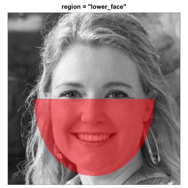 The eight built-in face-region masks rendered over the same artificial-person base face (256 x 256). Each translucent red overlay marks the pixels that pass through the mask; pixels outside are excluded from the analysis. All eight region geometries are this package's heuristics for a centred-portrait base. The three rectangle eye regions are independent of the full-oval geometry and tunable via `region_bounds`.