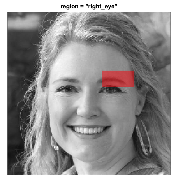 The eight built-in face-region masks rendered over the same artificial-person base face (256 x 256). Each translucent red overlay marks the pixels that pass through the mask; pixels outside are excluded from the analysis. All eight region geometries are this package's heuristics for a centred-portrait base. The three rectangle eye regions are independent of the full-oval geometry and tunable via `region_bounds`.