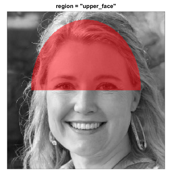 The eight built-in face-region masks rendered over the same artificial-person base face (256 x 256). Each translucent red overlay marks the pixels that pass through the mask; pixels outside are excluded from the analysis. All eight region geometries are this package's heuristics for a centred-portrait base. The three rectangle eye regions are independent of the full-oval geometry and tunable via `region_bounds`.
